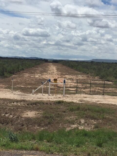 Right of Way Clearing