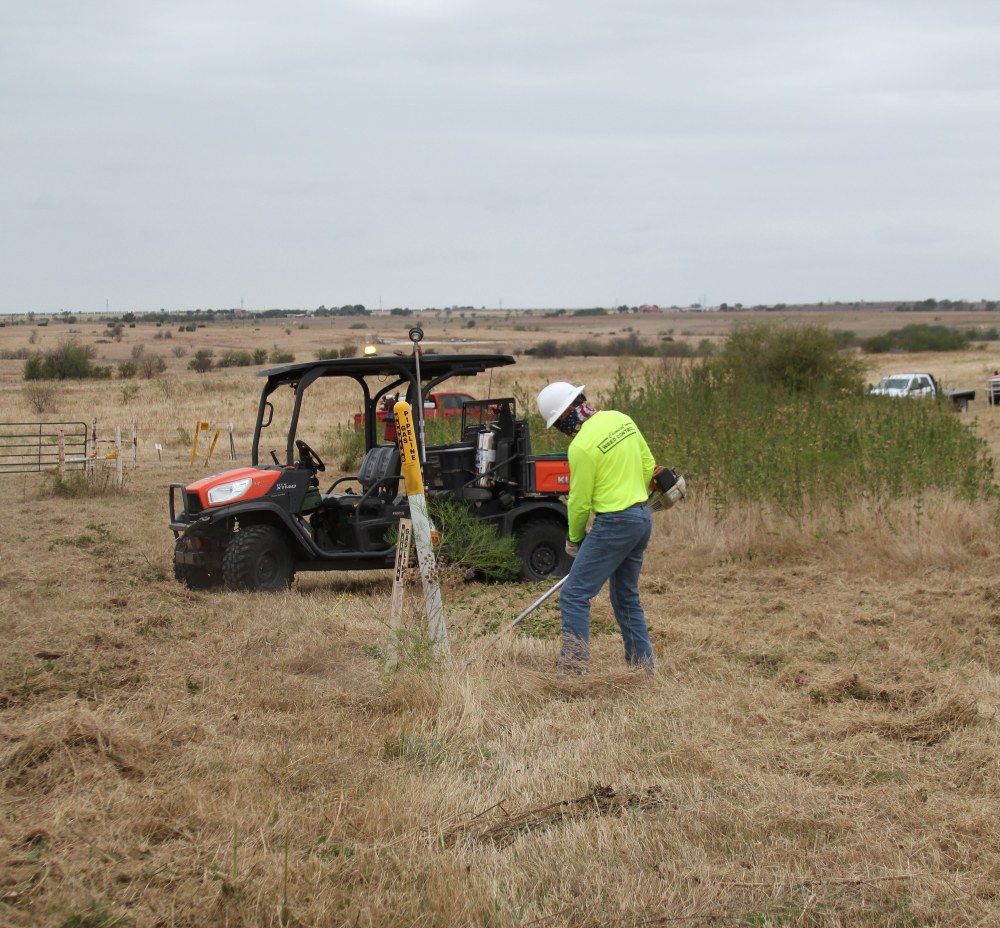 Weed Trimming